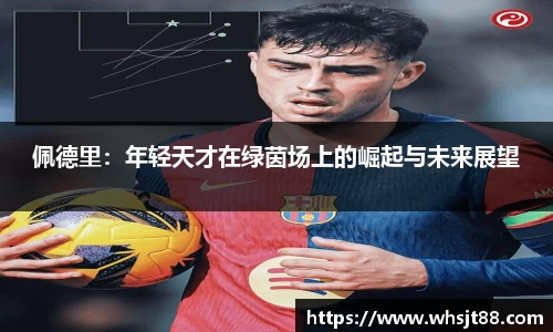 佩德里：年轻天才在绿茵场上的崛起与未来展望
