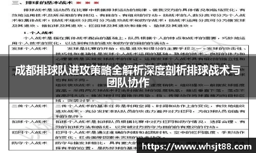 成都排球队进攻策略全解析深度剖析排球战术与团队协作